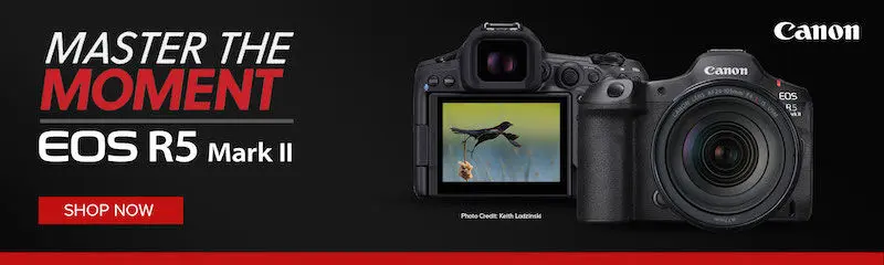 CANON Camera Sales & Rentals.  CANON R5 Mark II, Master yjr Moment